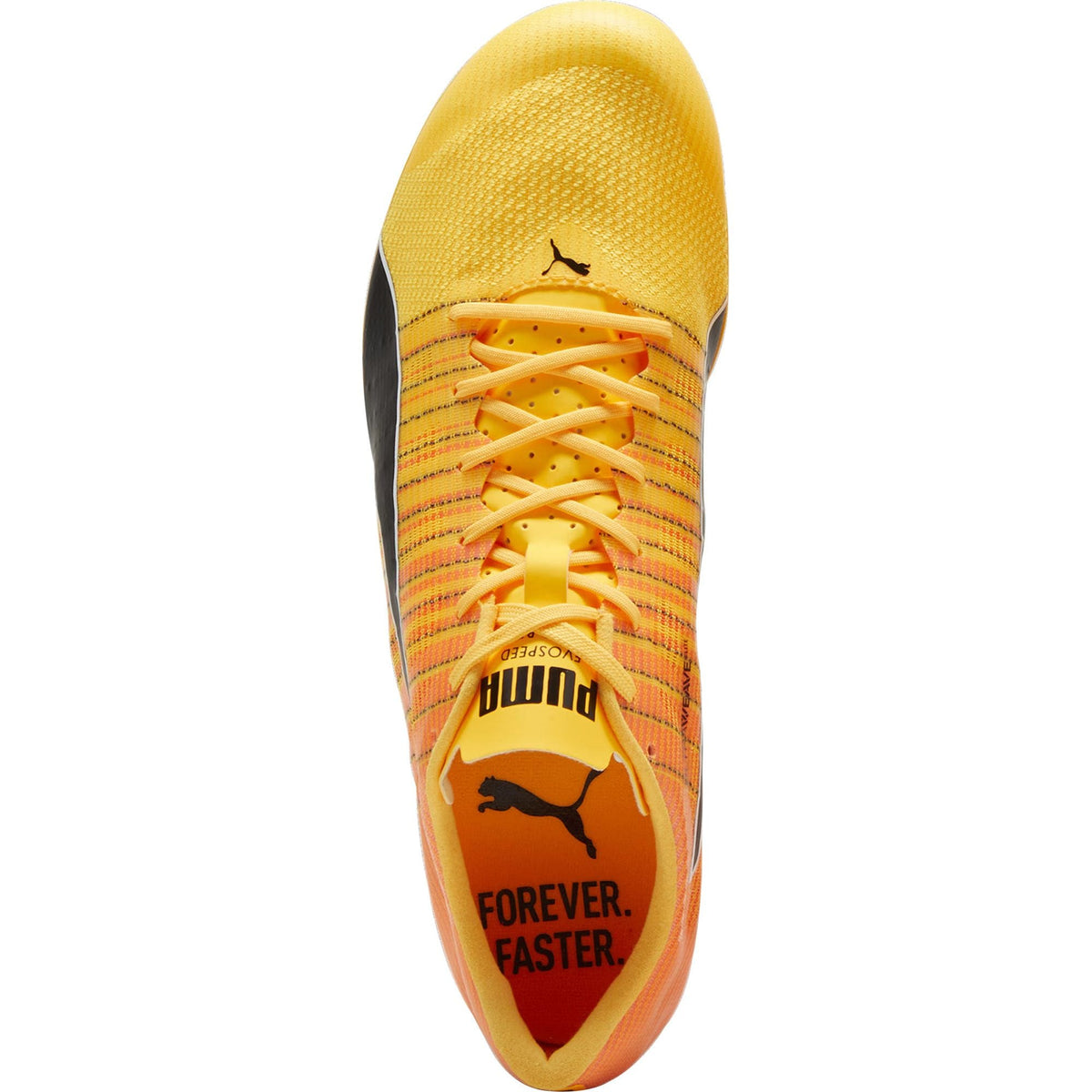 Puma evoSpeed Brush 6 Running Spikes - Orange - View 4