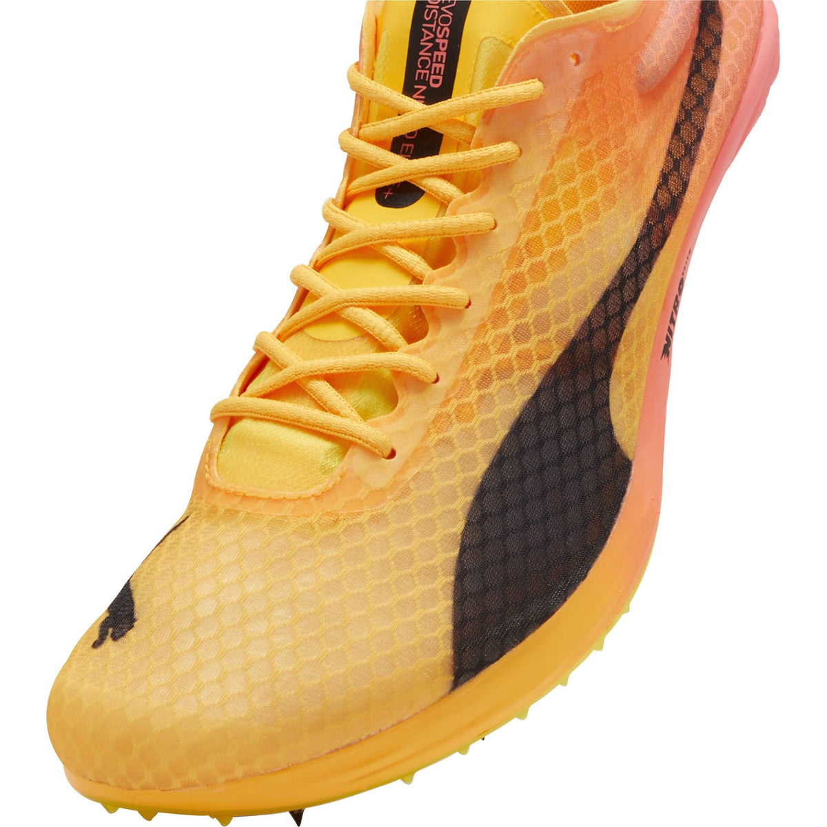Puma evoSpeed Distance Nitro Elite + 4 Running Spikes - Orange - View 6