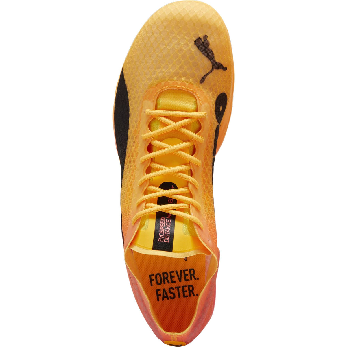 Puma evoSpeed Distance Nitro Elite + 4 Running Spikes - Orange - View 4