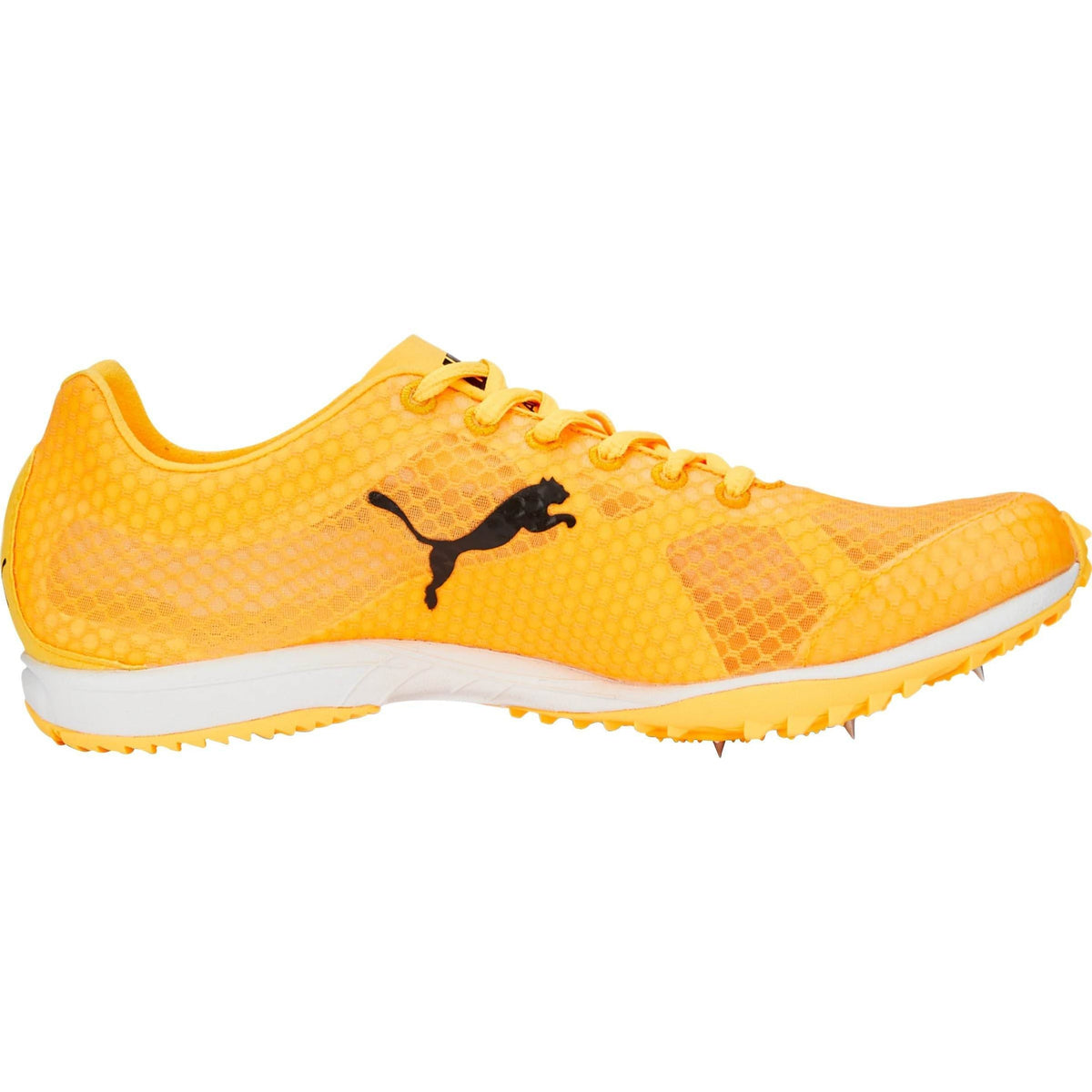 Puma evoSpeed Haraka 7 Cross Country Spikes - Orange - View 3