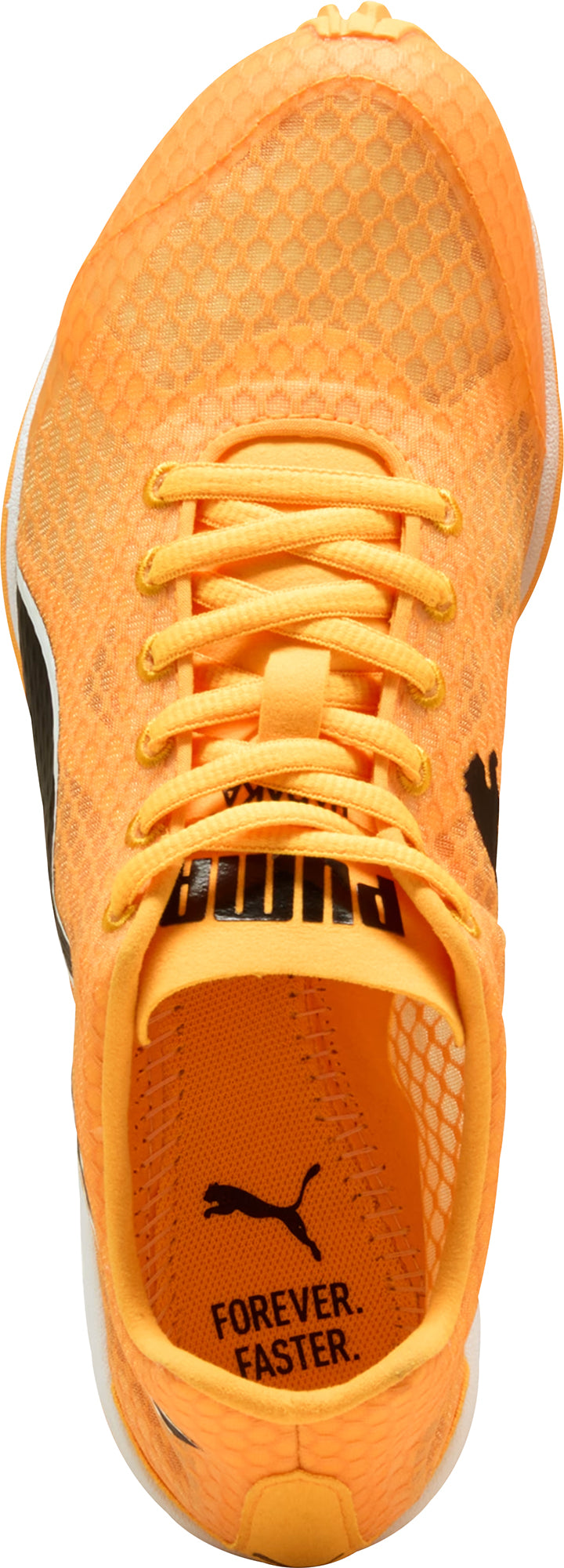 Puma evoSpeed Haraka 8 Cross Country Spikes - Orange - View 4