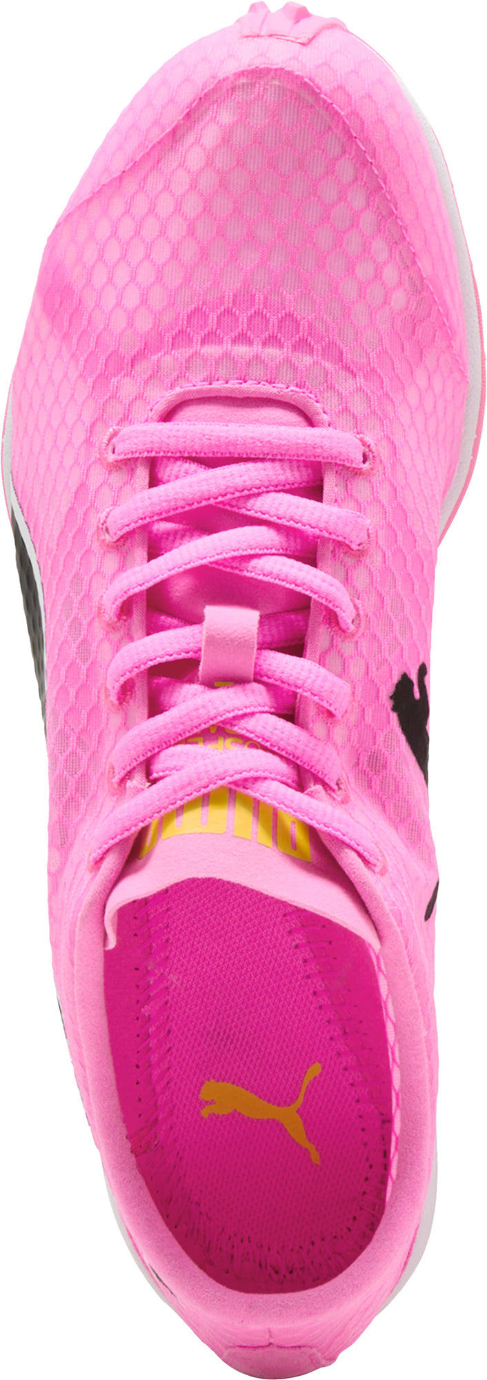 Puma evoSpeed Haraka 8 Cross Country Spikes - Pink - View 4