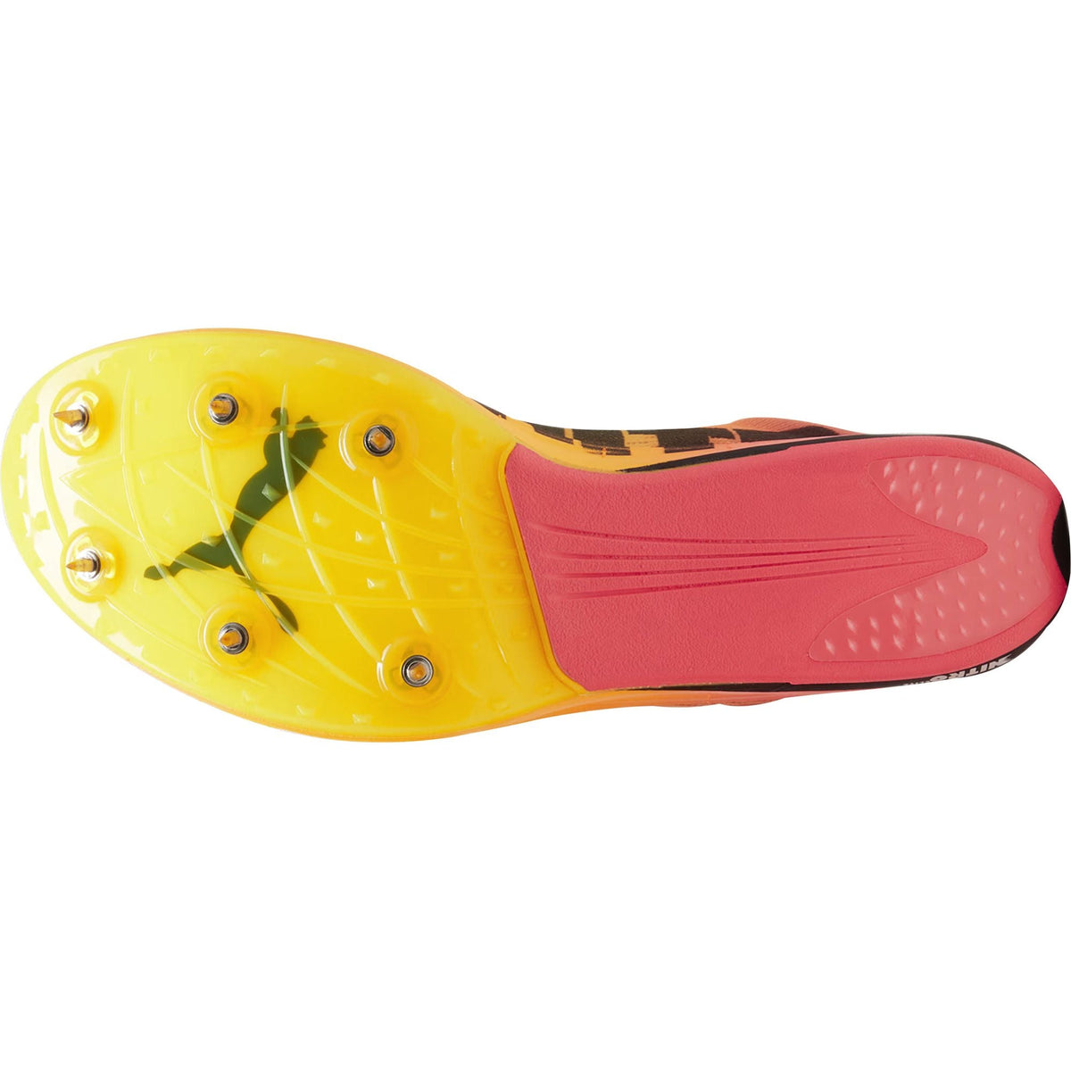 Puma evoSpeed Long Distance Nitro Elite 2 Running Spikes - Orange - View 2