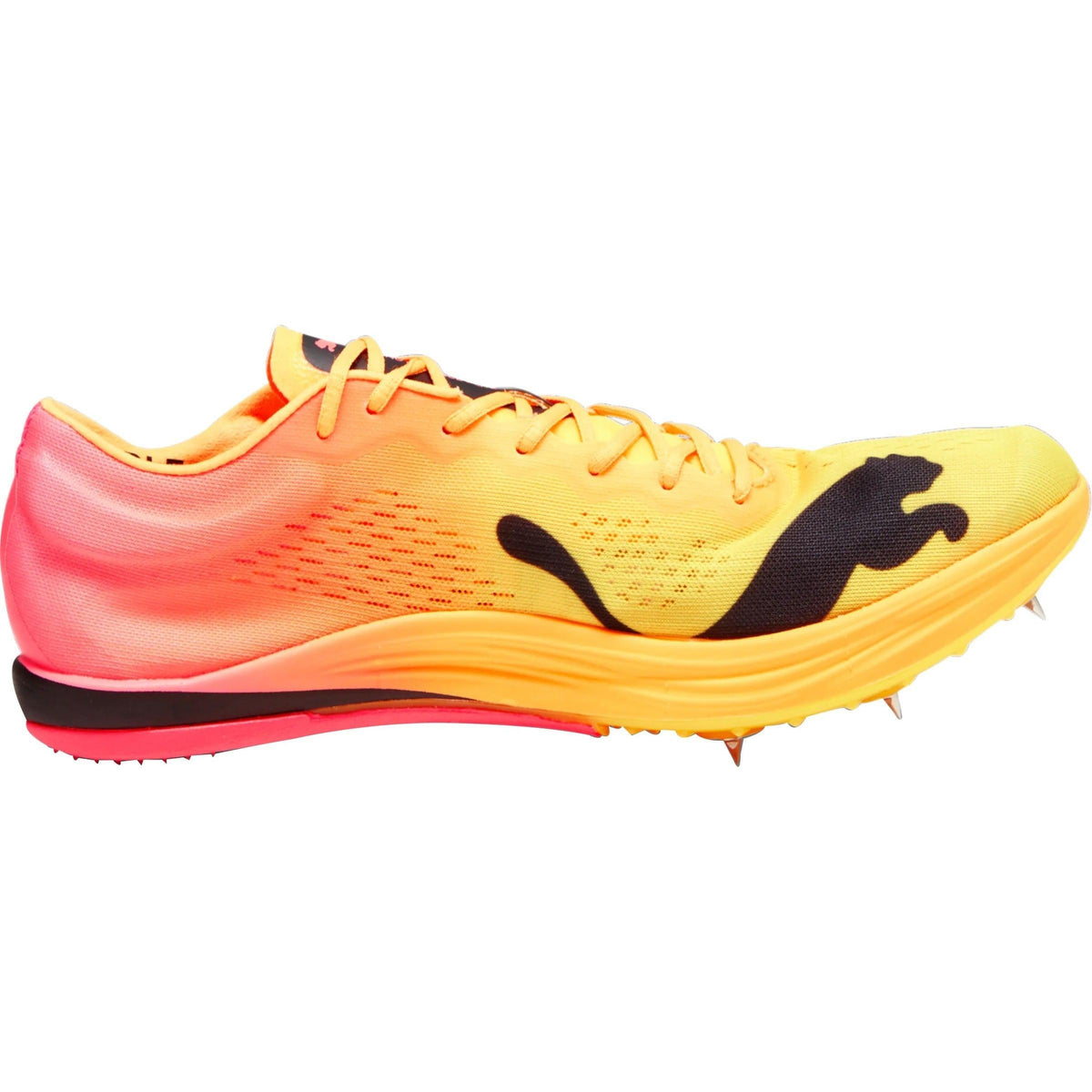 Puma evoSpeed Nitro Elite+ Long Distance Running Spikes - Orange - View 3